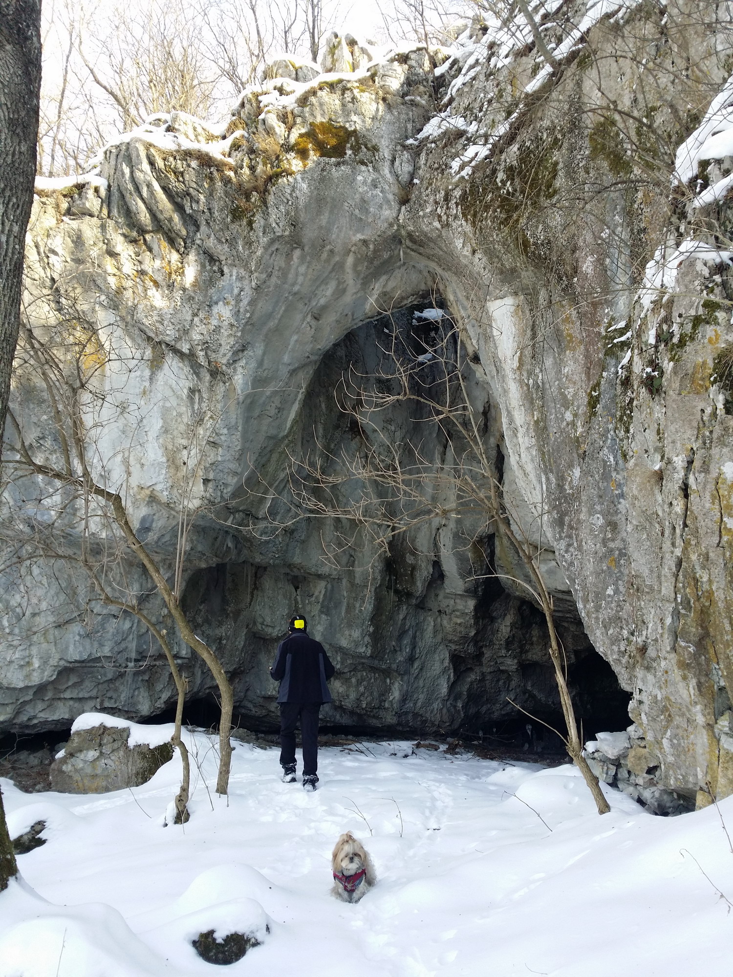 Pestera-Soroniste-Intrarea-foto-Lidia-Dragomir